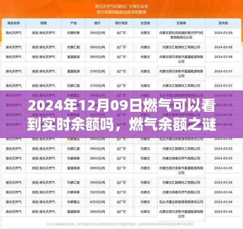 燃气余额之谜，揭秘家庭燃气实时余额探秘之旅