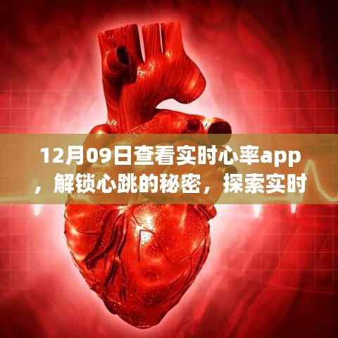 探索实时心率监控App的魅力,解锁心跳的秘密,体验实时心率监测