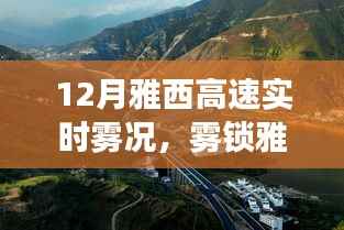 雾锁雅西高速，归途迷雾之旅实时报道