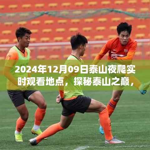 探秘泰山之巅，夜爬泰山奇妙之旅实时观看地点（XXXX年XX月XX日）