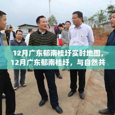 广东郁南桂圩实时地图，与自然共舞的心灵之旅，12月最新导航指南