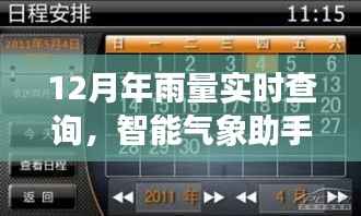 智能气象助手,实时查询12月年雨量,科技重塑生活体验