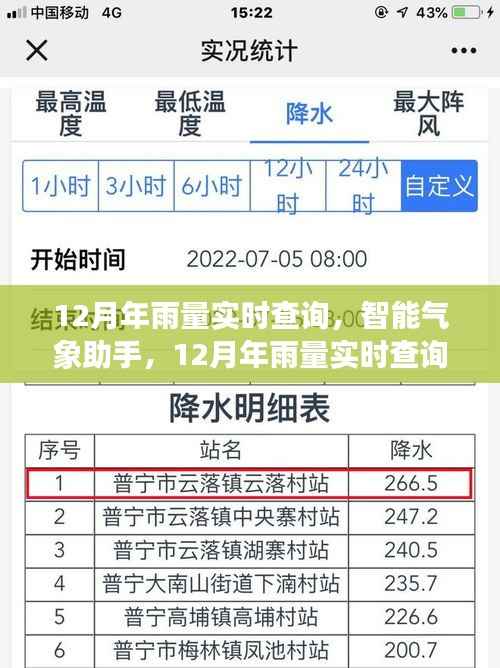 智能气象助手,实时查询12月年雨量,科技重塑生活体验