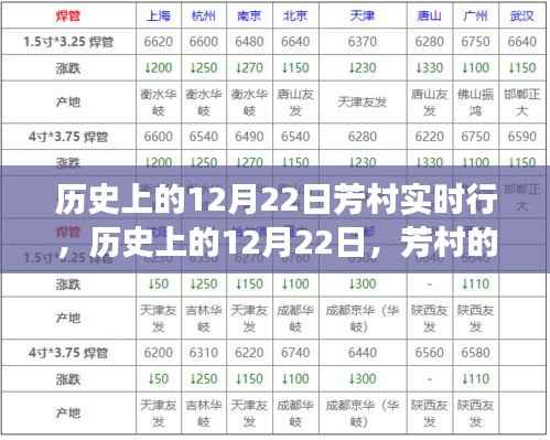 历史上的12月22日芳村心灵之旅，与自然美景共舞的时光