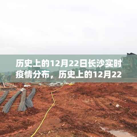 历史上的长沙疫情分布深度解析，以长沙实时疫情分布为例的案例分析与探究（深度解析与案例探究）