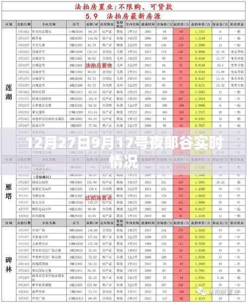 夜郎谷实时情况报道，最新动态观察