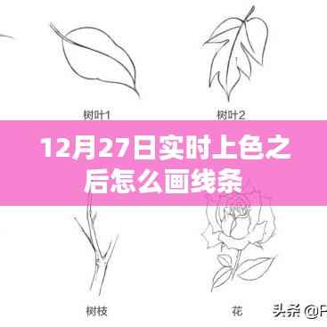 实时上色后如何精准绘制线条？技巧分享