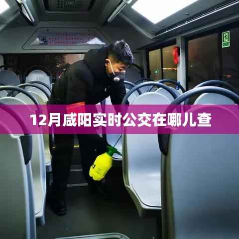 如翚斯飞 第4页