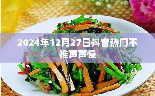 抖音热门歌曲推荐,声声慢持续火热至2024年12月27日