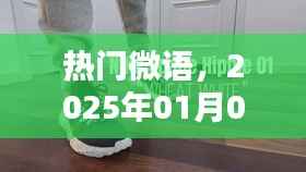 热门微语，语言潮流风向标 2025年1月3日