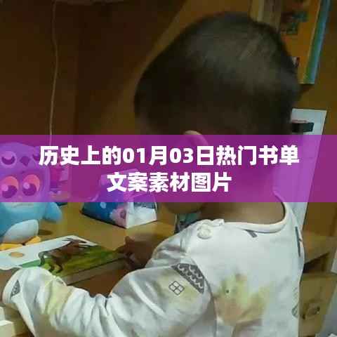 精选历史书单,一月三日热门读物与美图欣赏