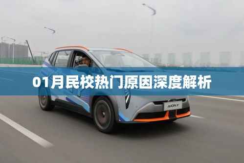 深度解读，一月份民校热门背后的原因