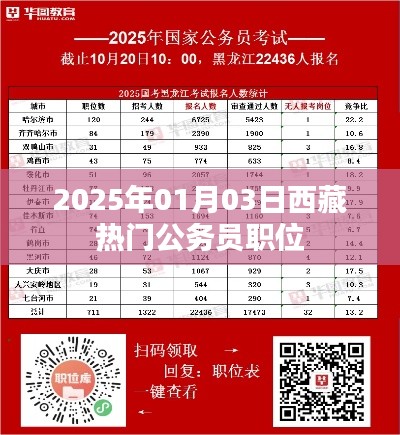 西藏热门公务员职位，了解报名与趋势分析（2025年）