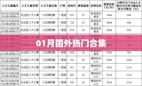 精选国外热门合集，不容错过！