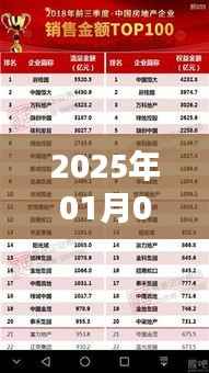 荷兰VS厄瓜多尔，实时比分揭晓，精彩对决不容错过