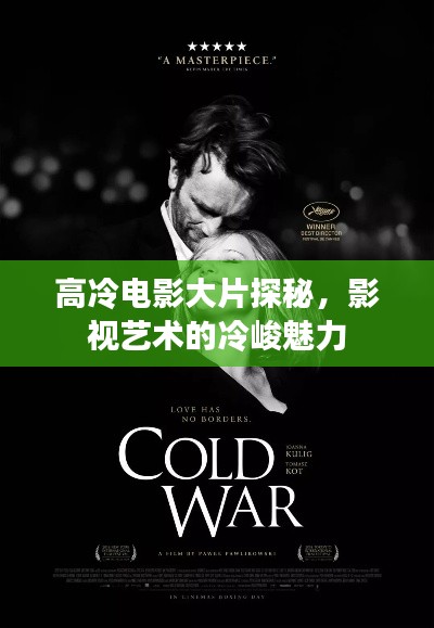 高冷电影大片探秘,影视艺术的冷峻魅力