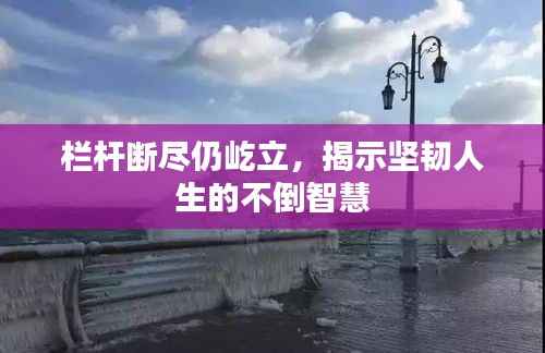 栏杆断尽仍屹立，揭示坚韧人生的不倒智慧