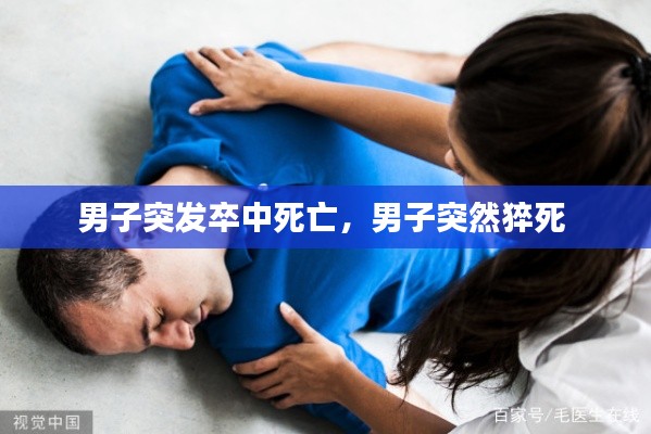 鸟集鳞萃 第3页