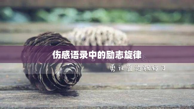 飞蝗芜湖 第2页