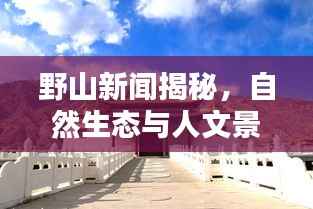 绝代佳人 第3页