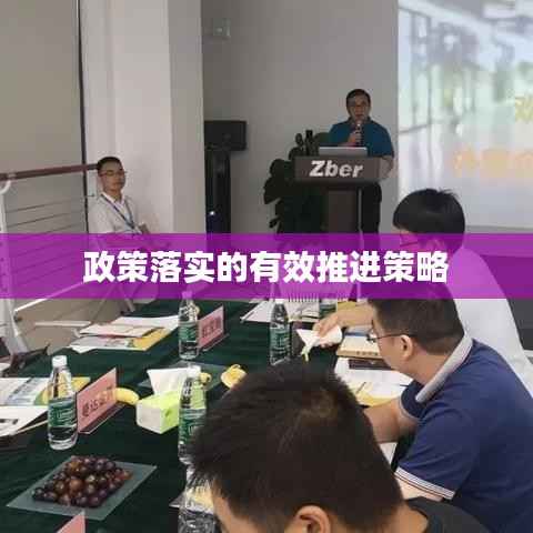 坌鸟先飞 第2页