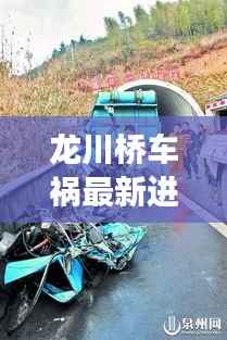 龙川桥车祸最新进展，今日消息全解析