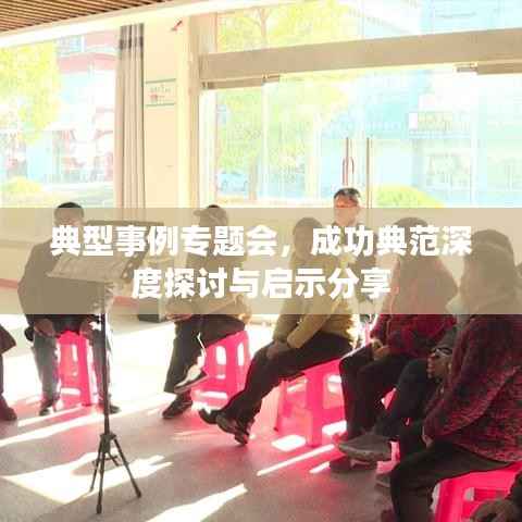 典型事例专题会，成功典范深度探讨与启示分享