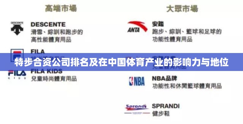 特步合资公司排名及在中国体育产业的影响力与地位