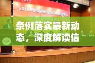 条例落实最新动态,深度解读信息报道材料
