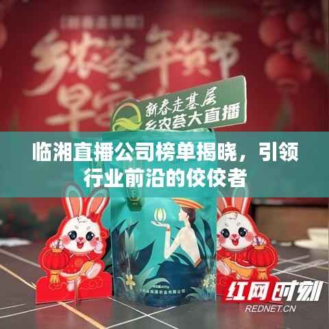 临湘直播公司榜单揭晓，引领行业前沿的佼佼者
