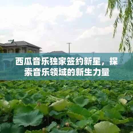 西瓜音乐独家签约新星,探索音乐领域的新生力量