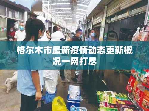格尔木市最新疫情动态更新概况一网打尽