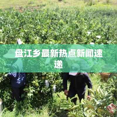 盘江乡最新热点新闻速递