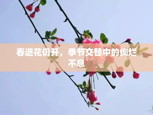 春逝花仍开,季节交替中的绚烂不息