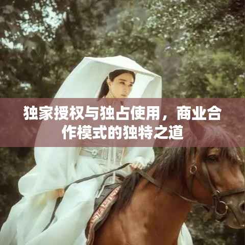 独家授权与独占使用，商业合作模式的独特之道