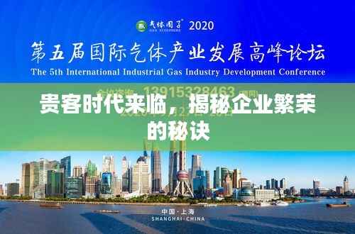 百鸟朝凤 第2页