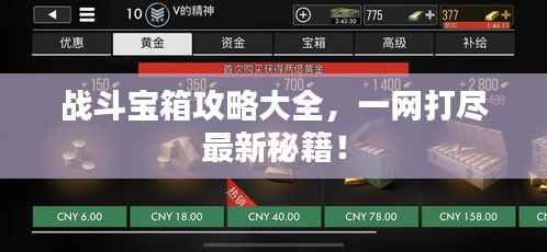 战斗宝箱攻略大全，一网打尽最新秘籍！