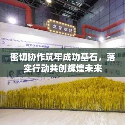 密切协作筑牢成功基石，落实行动共创辉煌未来