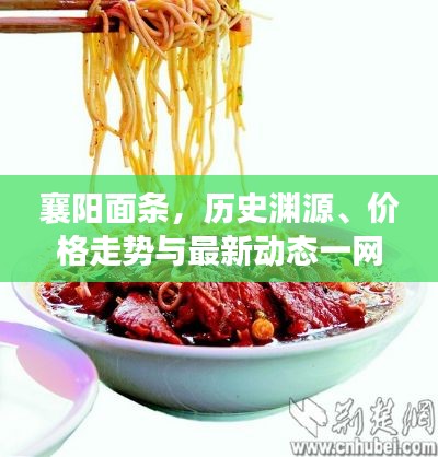 襄阳面条,历史渊源、价格走势与最新动态一网打尽