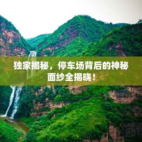 独家揭秘,停车场背后的神秘面纱全揭晓!