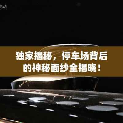 独家揭秘,停车场背后的神秘面纱全揭晓!
