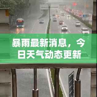 暴雨最新消息，今日天气动态更新通知