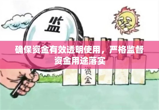 确保资金有效透明使用，严格监督资金用途落实