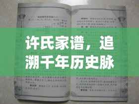 许氏家谱，追溯千年历史脉络，传承家族文化瑰宝