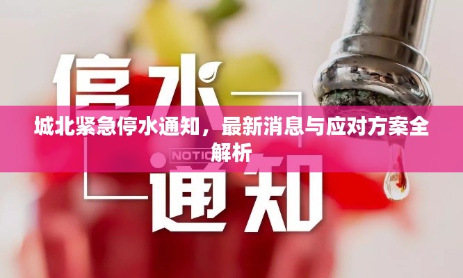 城北紧急停水通知，最新消息与应对方案全解析