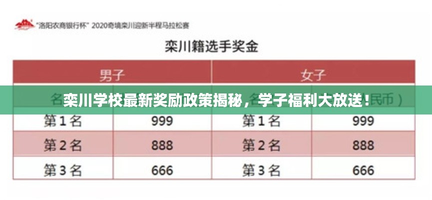 栾川学校最新奖励政策揭秘，学子福利大放送！