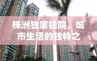 株洲独家独院，城市生活的独特之选，品质出租房源！