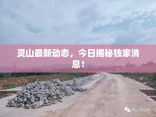 灵山最新动态,今日揭秘独家消息!