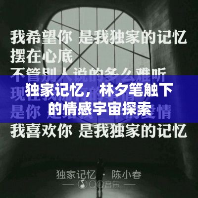 独家记忆，林夕笔触下的情感宇宙探索