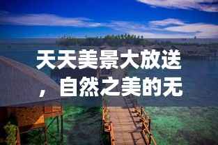 天天美景大放送,自然之美的无限魅力展现